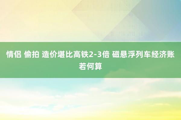 情侣 偷拍 造价堪比高铁2-3倍 磁悬浮列车经济账若何算