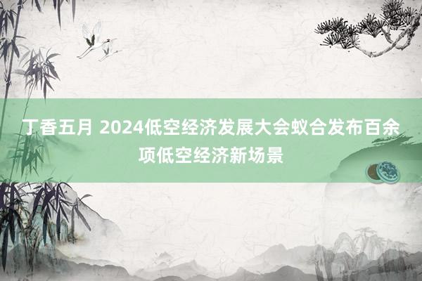 丁香五月 2024低空经济发展大会蚁合发布百余项低空经济新场景