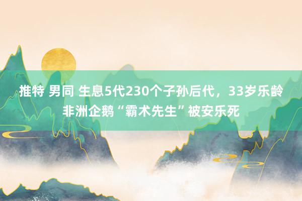 推特 男同 生息5代230个子孙后代，33岁乐龄非洲企鹅“霸术先生”被安乐死