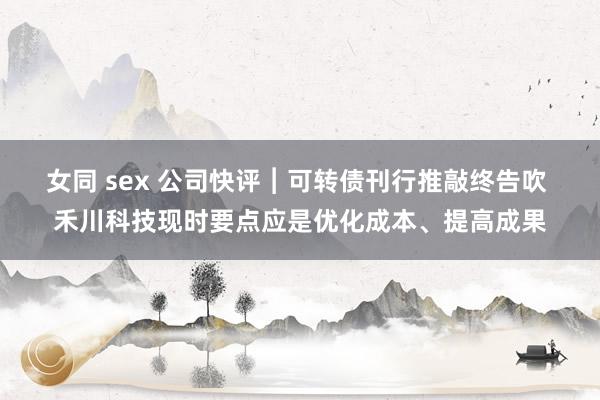 女同 sex 公司快评︱可转债刊行推敲终告吹 禾川科技现时要点应是优化成本、提高成果