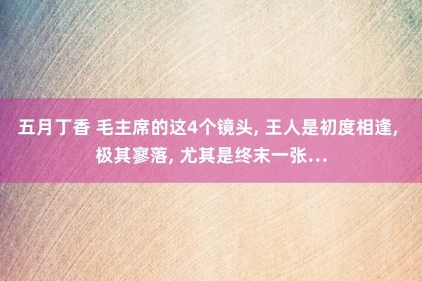 五月丁香 毛主席的这4个镜头， 王人是初度相逢， 极其寥落， 尤其是终末一张…