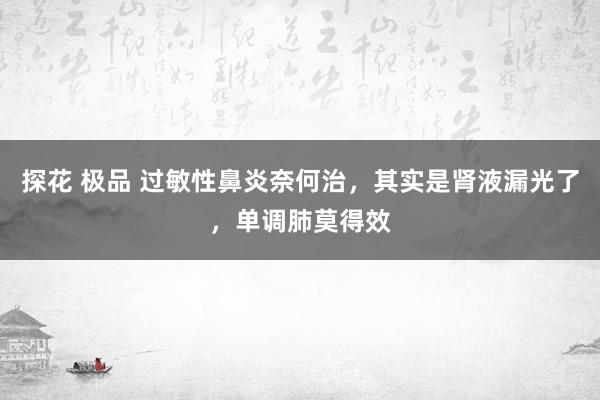 探花 极品 过敏性鼻炎奈何治，其实是肾液漏光了，单调肺莫得效