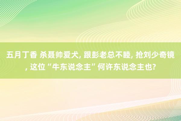 五月丁香 杀聂帅爱犬， 跟彭老总不睦， 抢刘少奇镜， 这位“牛东说念主”何许东说念主也?