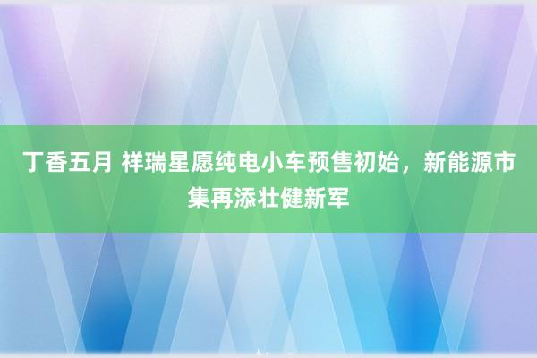 丁香五月 祥瑞星愿纯电小车预售初始，新能源市集再添壮健新军