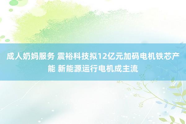 成人奶妈服务 震裕科技拟12亿元加码电机铁芯产能 新能源运行电机成主流