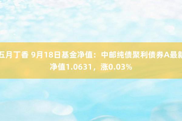 五月丁香 9月18日基金净值：中邮纯债聚利债券A最新净值1.0631，涨0.03%