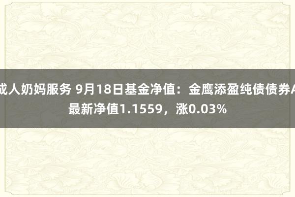 成人奶妈服务 9月18日基金净值：金鹰添盈纯债债券A最新净值1.1559，涨0.03%