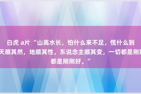 白虎 a片 “山高水长，怕什么来不足，慌什么到不了，天顺其然，地顺其性，东说念主顺其变，一切都是刚刚好。”