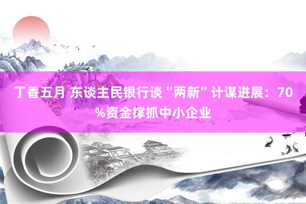 丁香五月 东谈主民银行谈“两新”计谋进展：70%资金撑抓中小企业