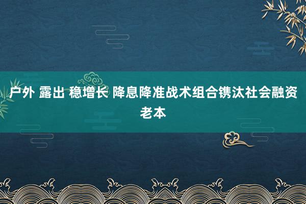 户外 露出 稳增长 降息降准战术组合镌汰社会融资老本