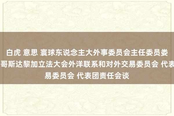 白虎 意思 寰球东说念主大外事委员会主任委员娄节约主抓同 哥斯达黎加立法大会外洋联系和对外交易委员会 代表团责任会谈