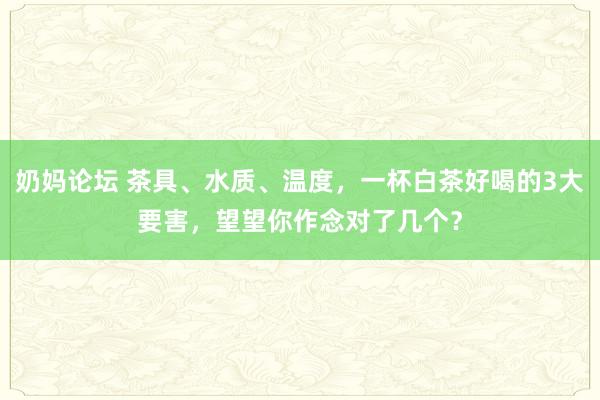 奶妈论坛 茶具、水质、温度，一杯白茶好喝的3大要害，望望你作念对了几个？