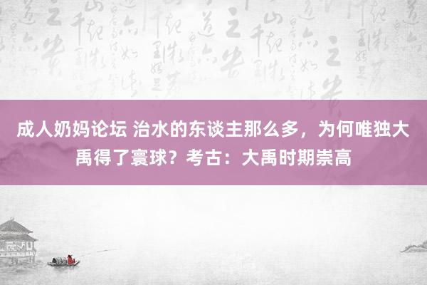 成人奶妈论坛 治水的东谈主那么多，为何唯独大禹得了寰球？考古：大禹时期崇高