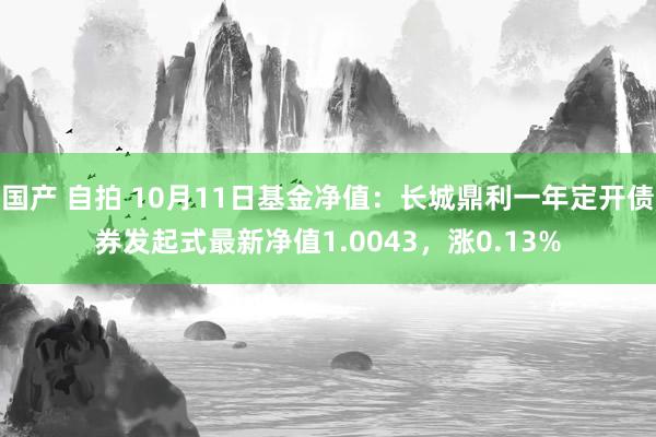 国产 自拍 10月11日基金净值：长城鼎利一年定开债券发起式最新净值1.0043，涨0.13%