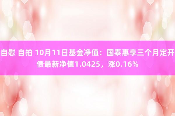 自慰 自拍 10月11日基金净值：国泰惠享三个月定开债最新净值1.0425，涨0.16%