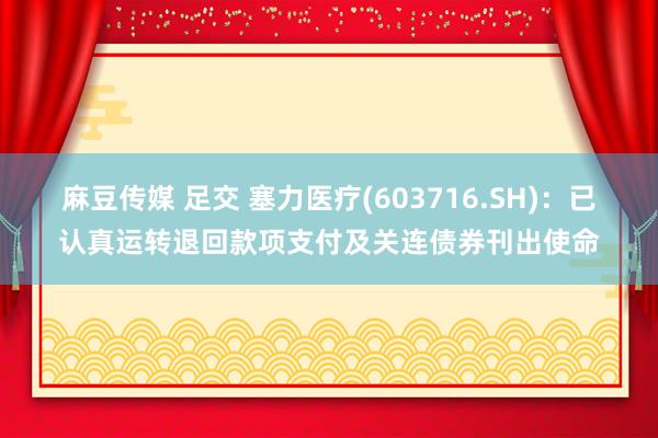 麻豆传媒 足交 塞力医疗(603716.SH)：已认真运转退回款项支付及关连债券刊出使命