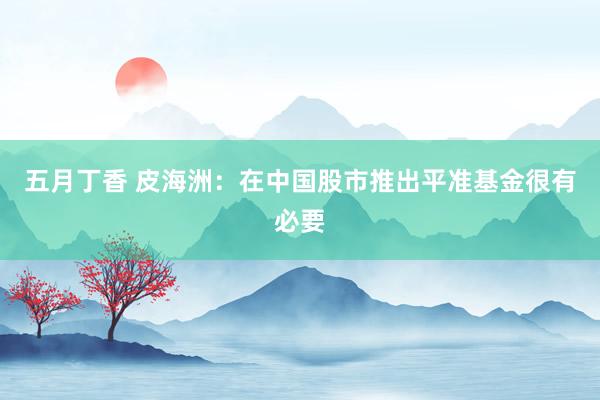 五月丁香 皮海洲：在中国股市推出平准基金很有必要