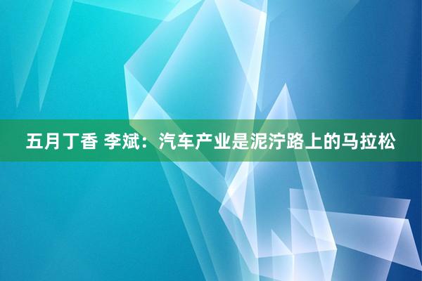 五月丁香 李斌：汽车产业是泥泞路上的马拉松