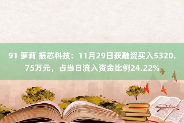 91 萝莉 振芯科技：11月29日获融资买入5320.75万元，占当日流入资金比例24.22%