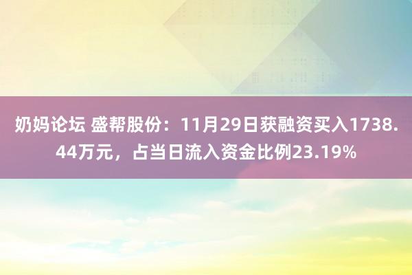 奶妈论坛 盛帮股份：11月29日获融资买入1738.44万元，占当日流入资金比例23.19%