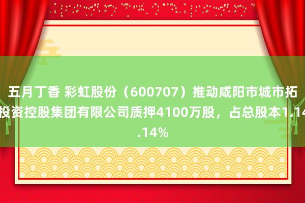 五月丁香 彩虹股份（600707）推动咸阳市城市拓荒投资控股集团有限公司质押4100万股，占总股本1.14%