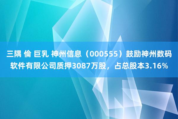 三隅 倫 巨乳 神州信息（000555）鼓励神州数码软件有限公司质押3087万股，占总股本3.16%