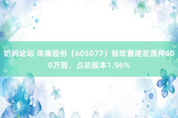 奶妈论坛 华康股份（605077）鼓吹曹建宏质押600万股，占总股本1.96%