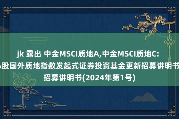 jk 露出 中金MSCI质地A，中金MSCI质地C: 中金MSCI中国A股国外质地指数发起式证券投资基金更新招募讲明书(2024年第1号)