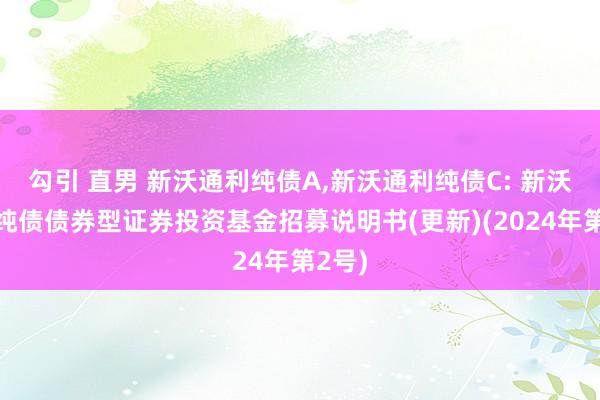 勾引 直男 新沃通利纯债A，新沃通利纯债C: 新沃通利纯债债券型证券投资基金招募说明书(更新)(2024年第2号)