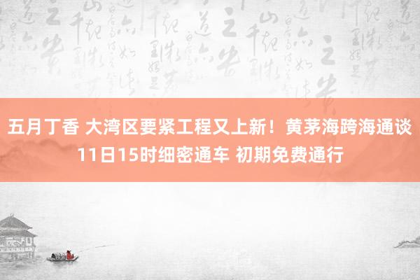 五月丁香 大湾区要紧工程又上新！黄茅海跨海通谈11日15时细密通车 初期免费通行