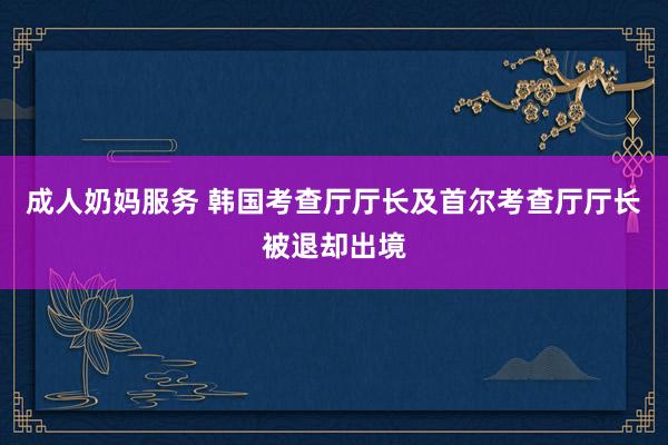 成人奶妈服务 韩国考查厅厅长及首尔考查厅厅长被退却出境