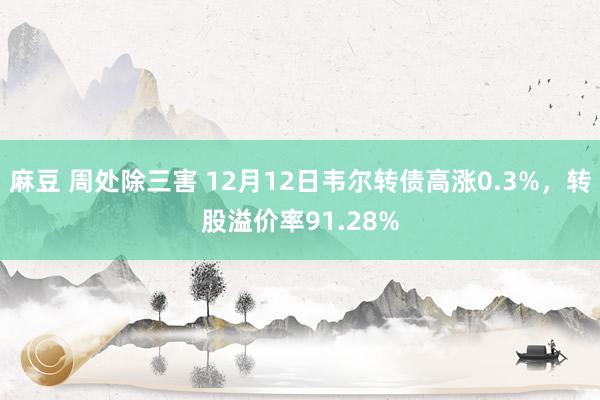 麻豆 周处除三害 12月12日韦尔转债高涨0.3%，转股溢价率91.28%