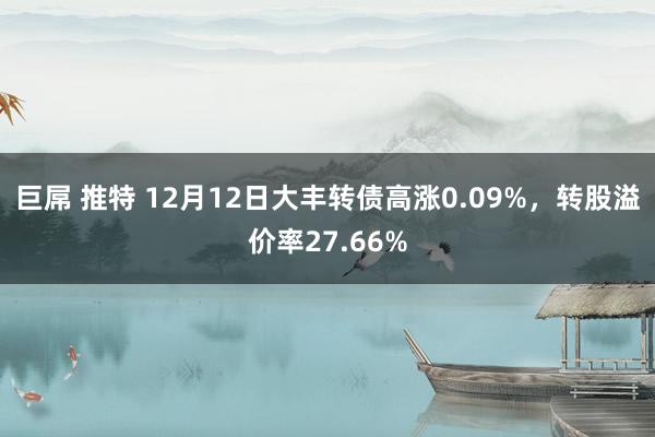 巨屌 推特 12月12日大丰转债高涨0.09%，转股溢价率27.66%