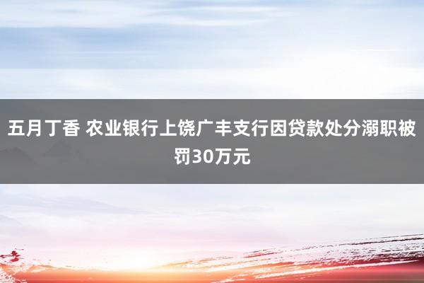 五月丁香 农业银行上饶广丰支行因贷款处分溺职被罚30万元