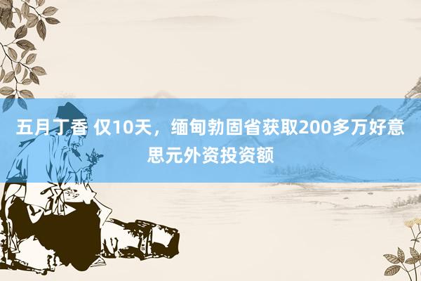 五月丁香 仅10天，缅甸勃固省获取200多万好意思元外资投资额