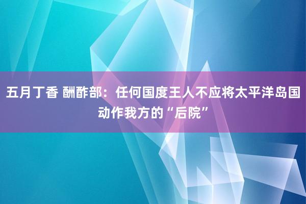 五月丁香 酬酢部：任何国度王人不应将太平洋岛国动作我方的“后院”