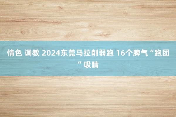 情色 调教 2024东莞马拉削弱跑 16个脾气“跑团”吸睛