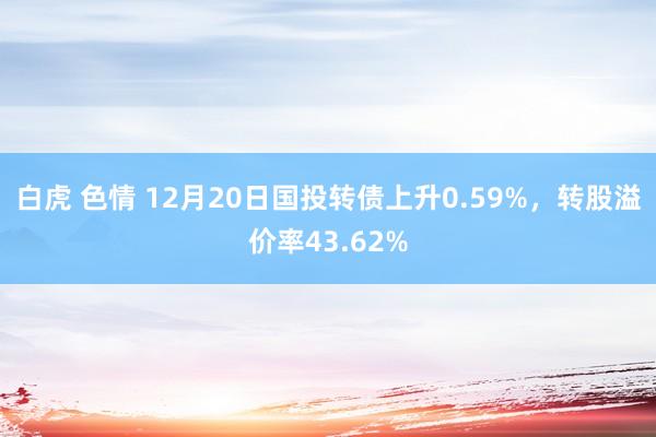 白虎 色情 12月20日国投转债上升0.59%，转股溢价率43.62%