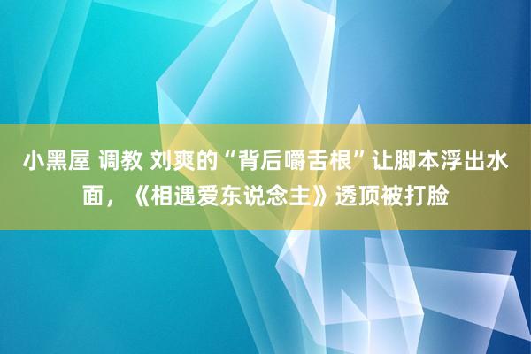 小黑屋 调教 刘爽的“背后嚼舌根”让脚本浮出水面，《相遇爱东说念主》透顶被打脸