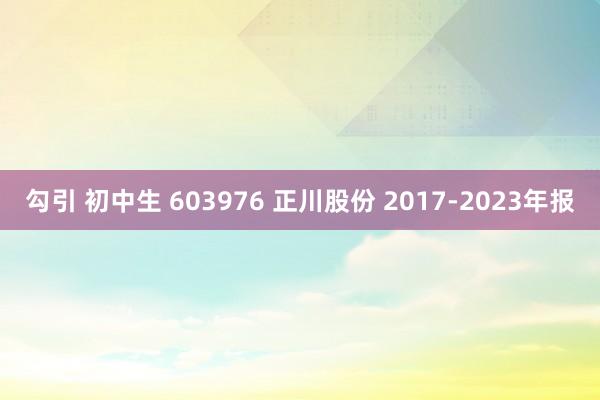 勾引 初中生 603976 正川股份 2017-2023年报