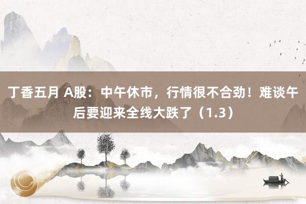 丁香五月 A股：中午休市，行情很不合劲！难谈午后要迎来全线大跌了（1.3）