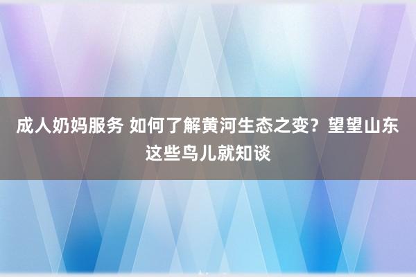 成人奶妈服务 如何了解黄河生态之变？望望山东这些鸟儿就知谈