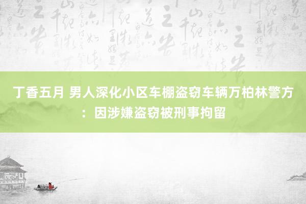 丁香五月 男人深化小区车棚盗窃车辆万柏林警方：因涉嫌盗窃被刑事拘留