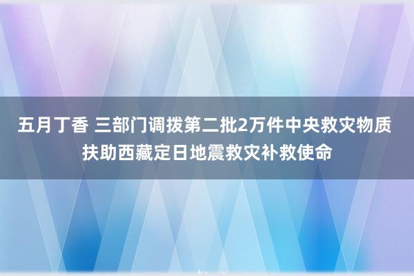 五月丁香 三部门调拨第二批2万件中央救灾物质 扶助西藏定日地震救灾补救使命