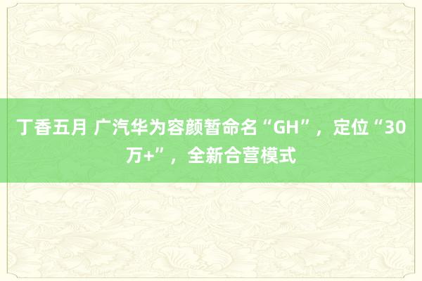 丁香五月 广汽华为容颜暂命名“GH”，定位“30万+”，全新合营模式