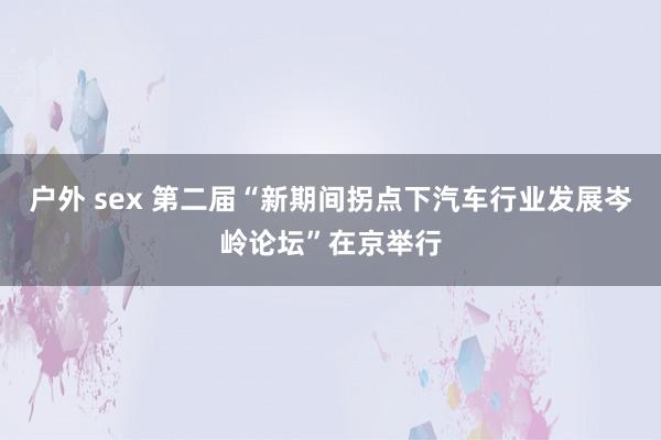 户外 sex 第二届“新期间拐点下汽车行业发展岑岭论坛”在京举行