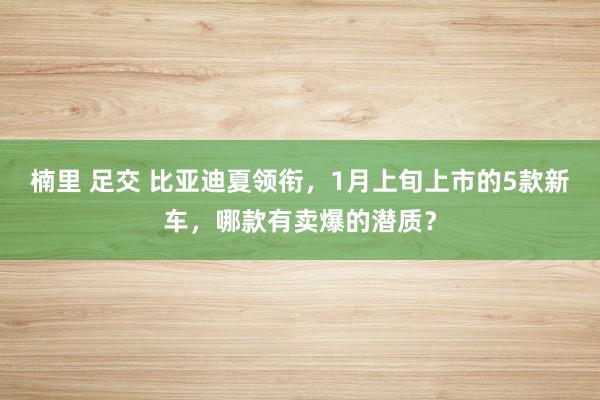 楠里 足交 比亚迪夏领衔，1月上旬上市的5款新车，哪款有卖爆的潜质？