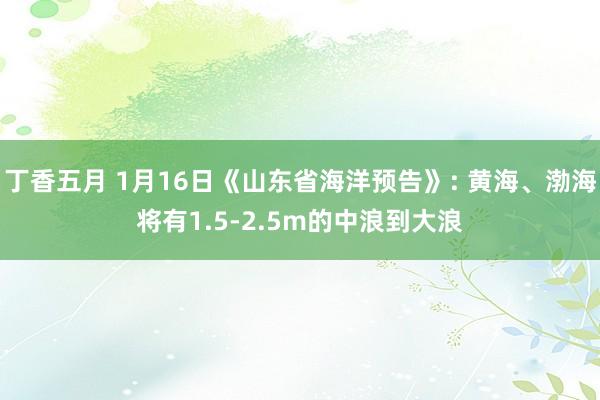 丁香五月 1月16日《山东省海洋预告》: 黄海、渤海将有1.5-2.5m的中浪到大浪